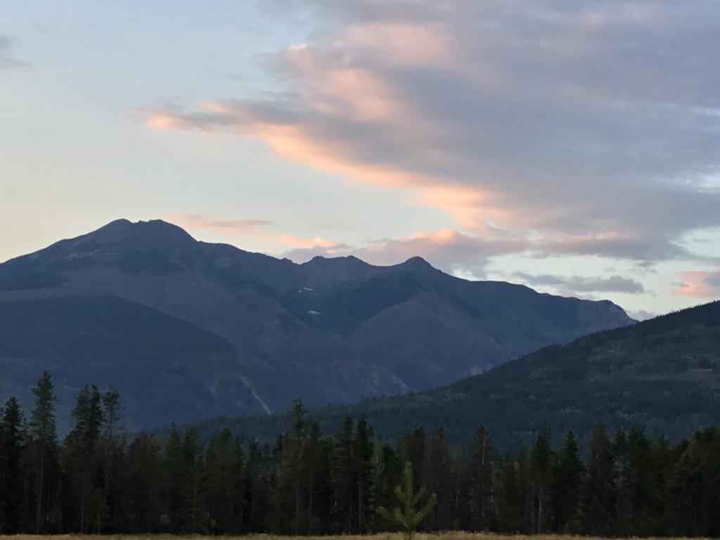 Rose Cottage Bed & Breakfast Valemount Exterior photo